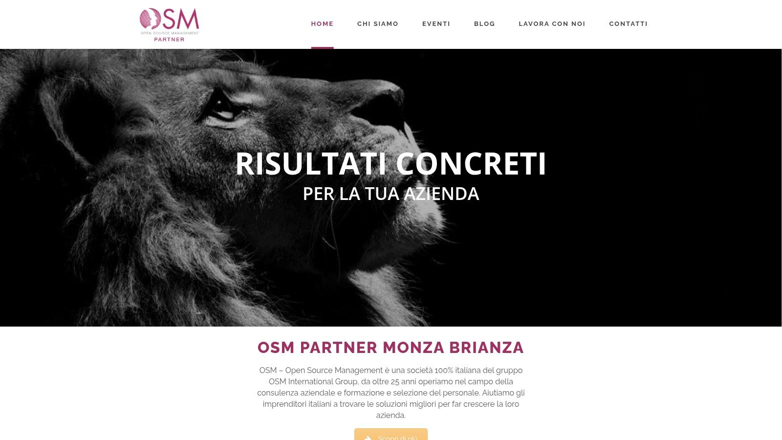 OSM Partner Monza Brianza (Open Source Management)
